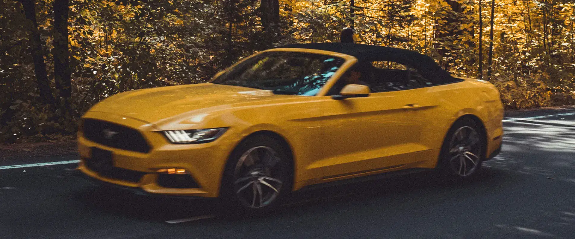 Ford Repair and Service near West Babylon, NY 