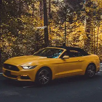 Ford Repair and Service in West Babylon, NY